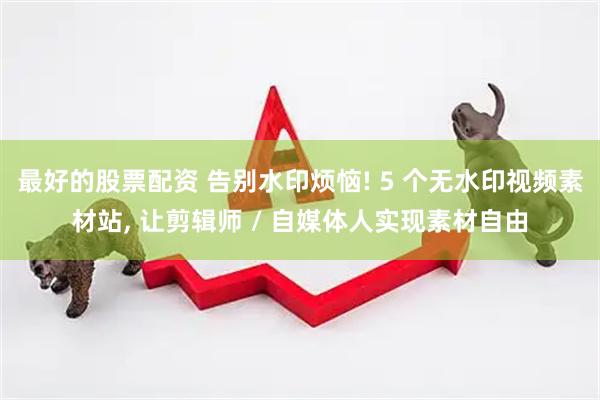 最好的股票配资 告别水印烦恼! 5 个无水印视频素材站, 让剪辑师 / 自媒体人实现素材自由